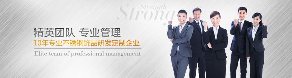 精英團隊專業(yè)管理